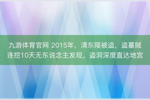 九游体育官网 2015年，清东陵被盗，盗墓贼连挖10天无东说念主发现，盗洞深度直达地宫